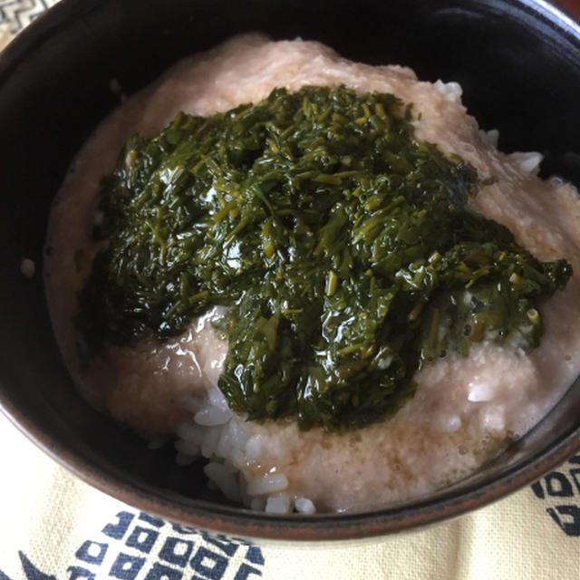 アカモクとろろ丼、とおやつ