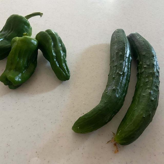 続々と夏野菜収穫♡早く作りたいレシピとたったひとつの恋