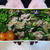2024/3/5のパートナーの相棒のボリューミーお弁当 【#お弁当】【2015個目】