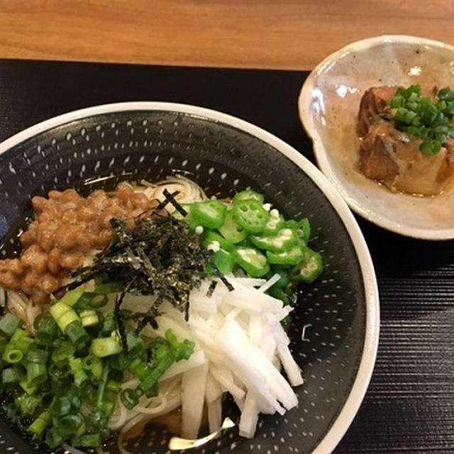 ねばねば素麺とデビュー