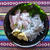 神奈川県・二宮産：生しらす丼