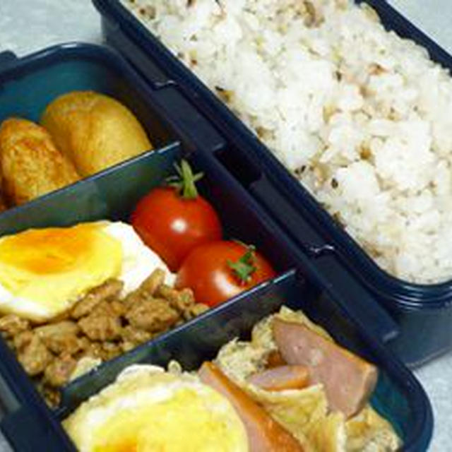 お弁当 09/06/15