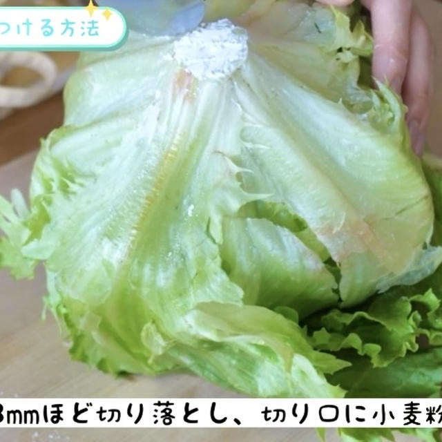【裏ワザ】あれを３本使うとレタスは３週間長持ち！？保存方法＆選び方 ※動画解説付！