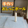 【犬のトイレ問題】続・ゆきちが家でおしっこをしなくなった！？外でしか排泄しない理由はなに？