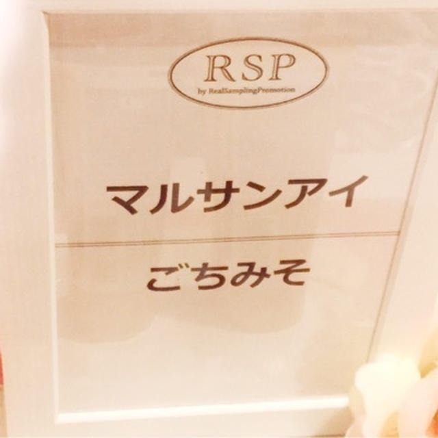 第53回リアルサンプリグプロモーションin品川　（RSP53）