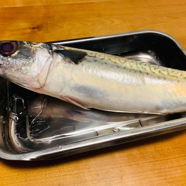 鯖