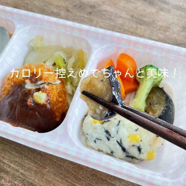 カロリー控えめでちゃんと美味しい！あると便利な冷凍お弁当セット