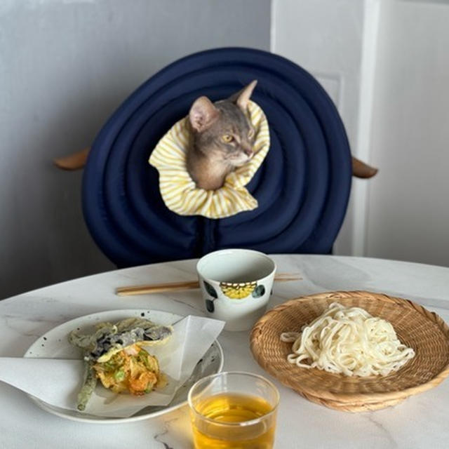 ざるうどんのお昼ごはんと、デカカラーにひるまないぼくちん