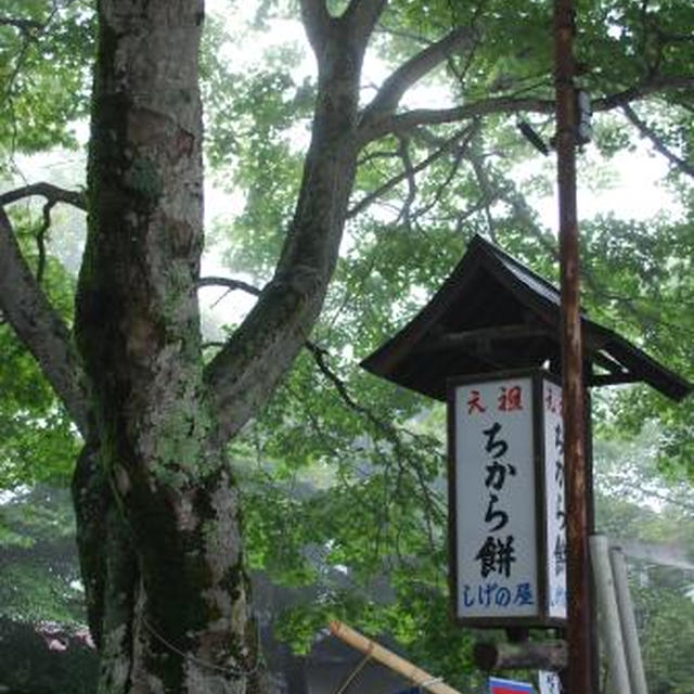 夏の軽井沢　part4 　しげの屋でちから餅