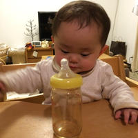 あまちゃん、椅子としらすデビュー。
