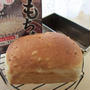 もち麦全粒粉ミニ食パン♪