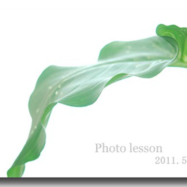 photo Lesson  2011.5.