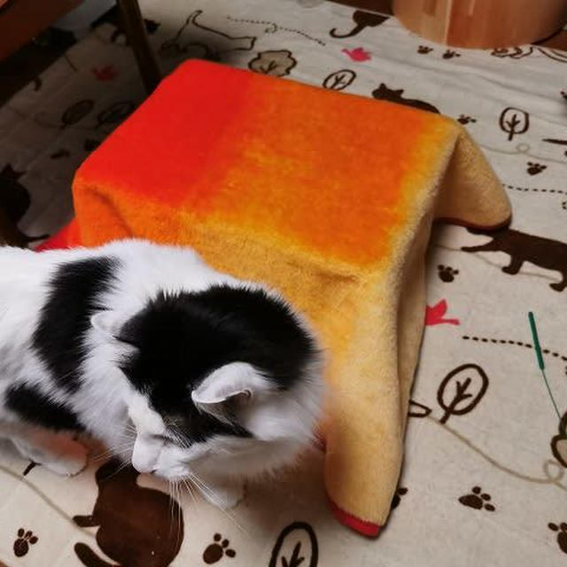 お構いなし