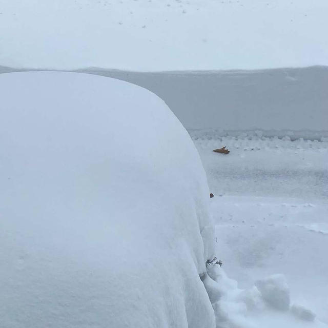 吹雪で外に出れない