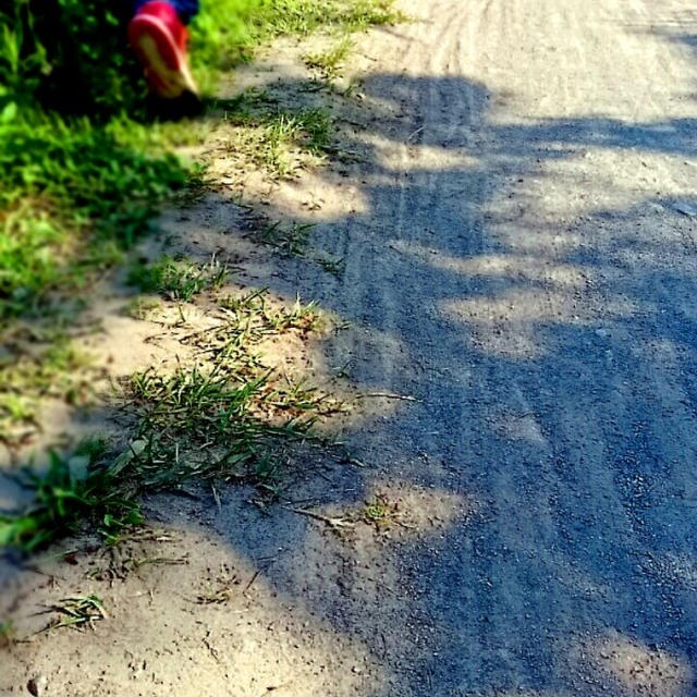お散歩③ withハル