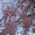 ☆垂れ桜☆