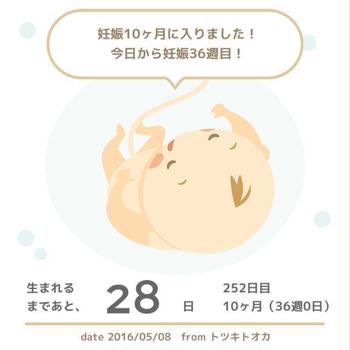 臨月突入☆