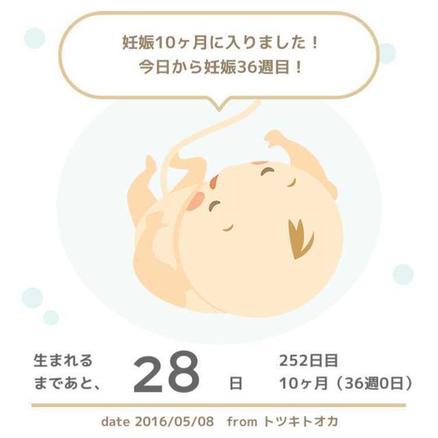 臨月突入☆