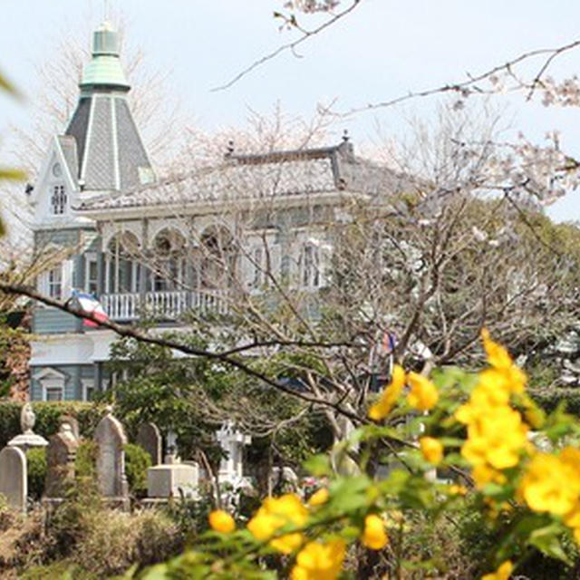 山手の桜など