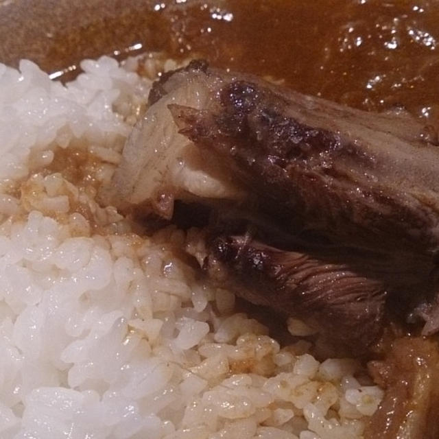 野郎飯流・牛すじと牛テールの煮込みカレー