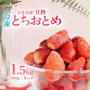 【訳あり】 冷凍いちご 1.5kg（茨城県下妻市）