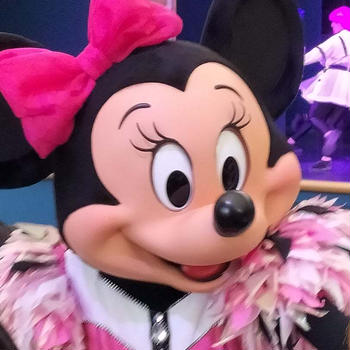 ショーメインのひとりディズニーランドは贅沢時間！