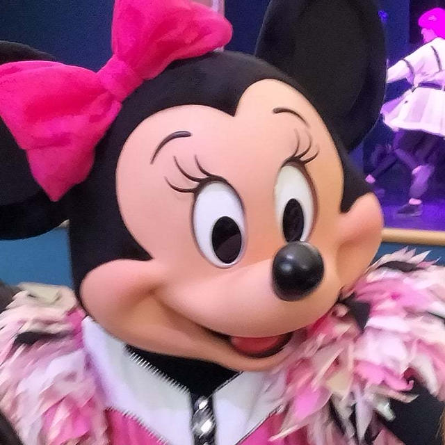 ショーメインのひとりディズニーランドは贅沢時間！