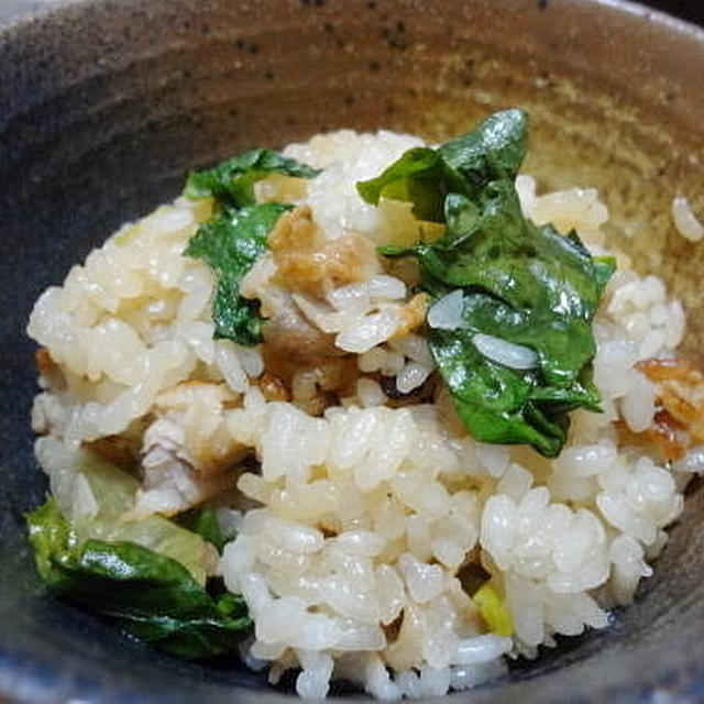 11.23の晩御飯　豚バラとレタスの炊き込みご飯、蒸し野菜の和風アイオリソース