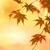 花貫渓谷の紅葉