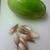 季節の野菜を食す