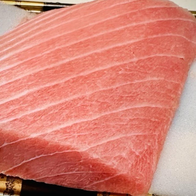 キハダ鮪