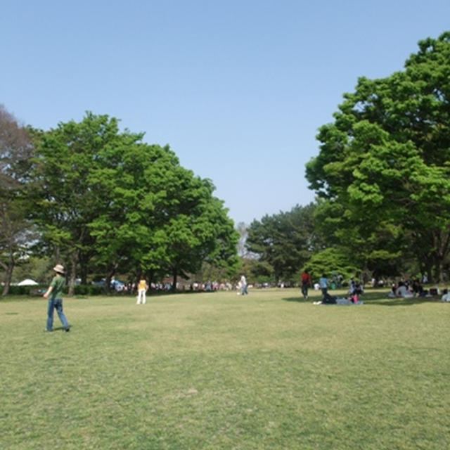 春の陽気に誘われて?。