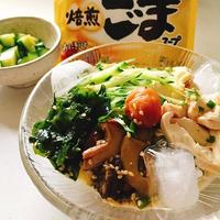 理研ビタミン「わかめスープ」のモニター