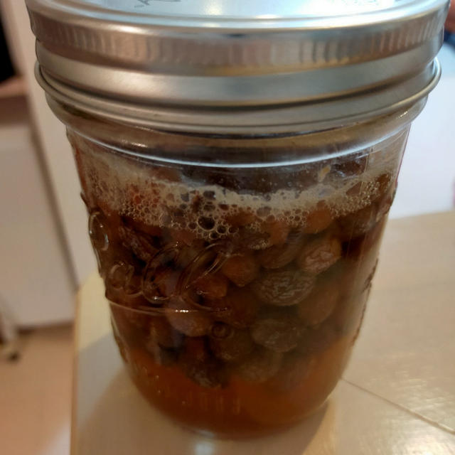 明日にはレーズン酵母でパンを作れそうです(*´艸｀*)