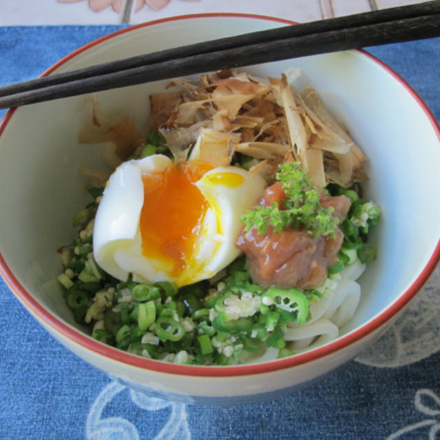 めぼしいものが無いときのお昼ご飯　ー梅干し風味のぶっかけうどんー