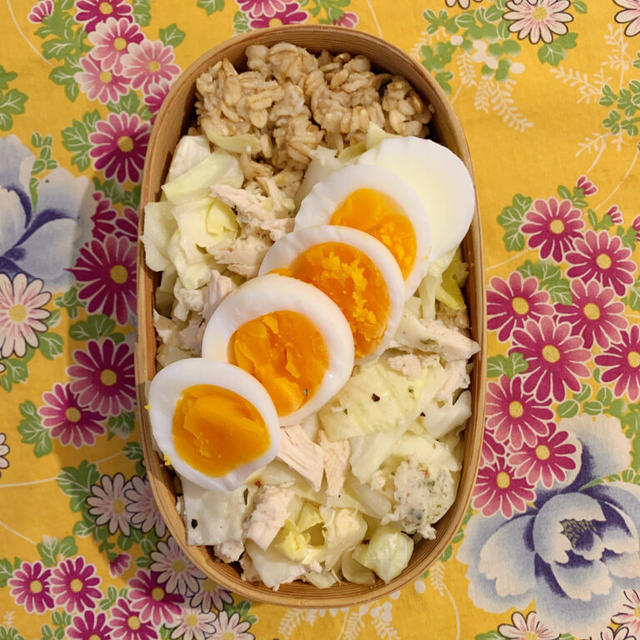 生存確認用にインスタのフォロー良きです。それと白い弁当