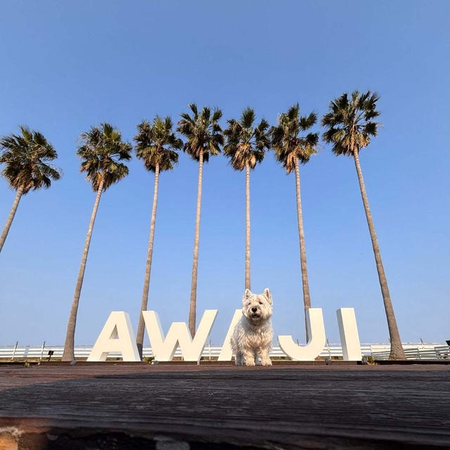 AWAJISHIMAモニュメント