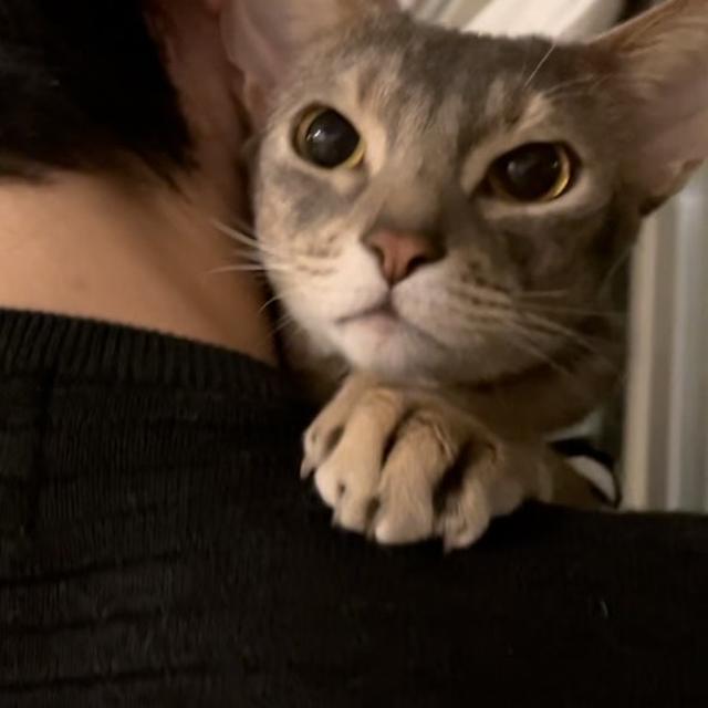 【インスタリール】ぼくとパパのラブラブタイム♡