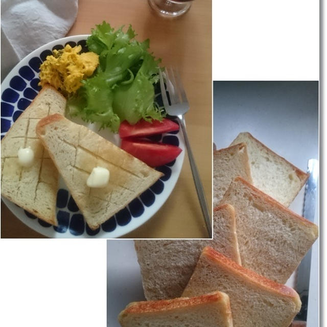やっと理想の真四角食パンが焼けた！と噛まれて噛んで泣いて泣かれて…