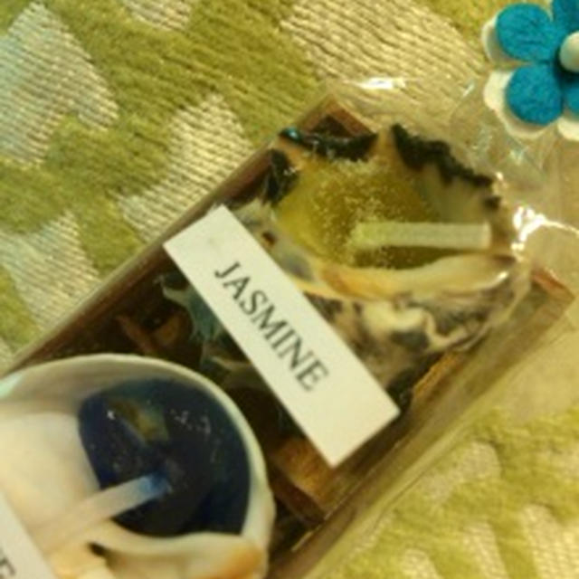 パラオからの贈り物