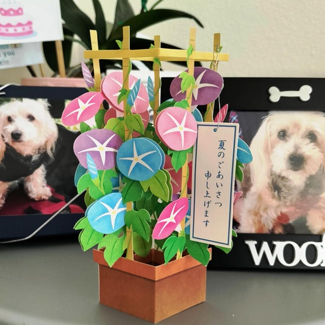 愛犬の死から４か月、ペットロスが今頃やってきた