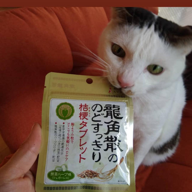 なめるんです！噛むんじゃありません❤　龍角散ののどすっきりタブレット シリーズ