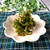 レンジで簡単！お弁当の隙間おかずにも！ピーマンのふりかけ和え