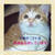 ☆仔猫の里親さん募集中☆茶色×白☆