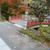 鎌倉の紅葉は、今こんな感じ！