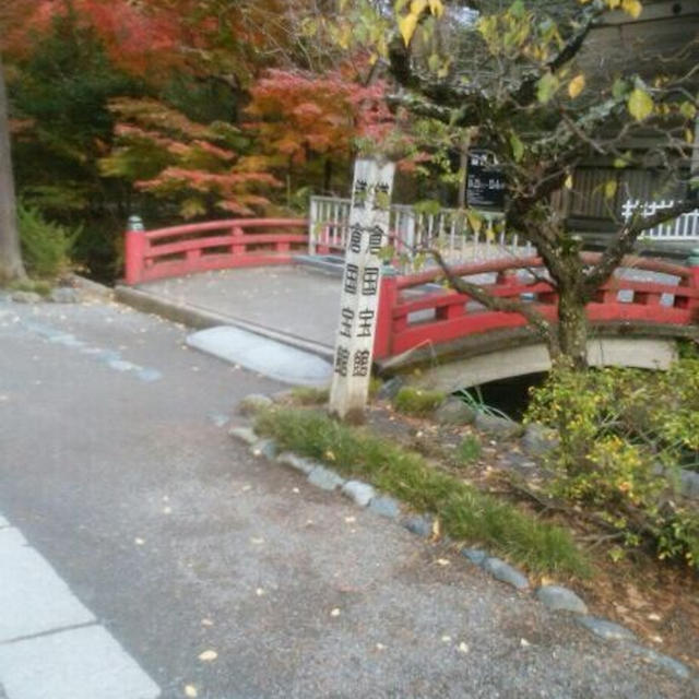 鎌倉の紅葉は、今こんな感じ！