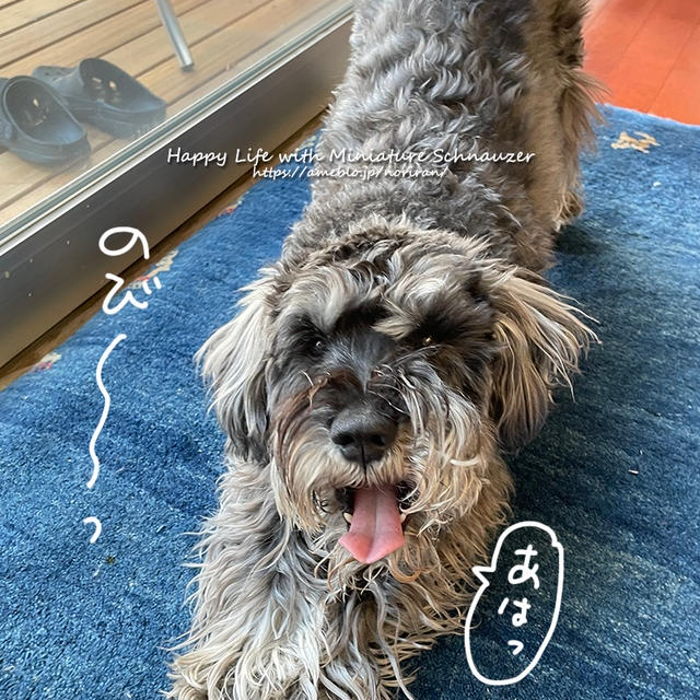 モサモサもMAXで…