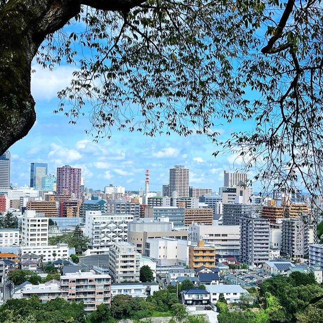 五橋公園から愛宕神社へ。ノルディックウォーキング
