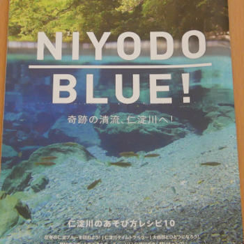NIYODO BLUEへの憧れから