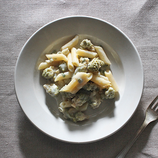 Penne al Gorgonzola